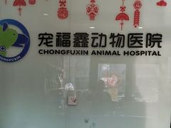 -宠福鑫动物医院(望京分院)