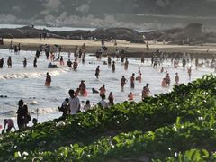 -浪琴湾度假村