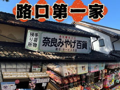 -奈良公园
