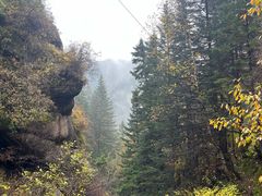 -芦芽山旅游度假区
