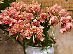 -双季花艺园艺市场(浦东店)