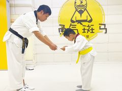 -勇气斑马·巴西柔术&跆拳道(浦东三林店)