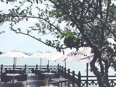 -望海·帆船主题咖啡厅•品茗下午茶(石湖景区店)