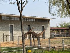 -石家庄市动物园