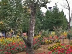 -羊亭河湿地公园