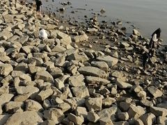 -深圳湾公园(南山区)