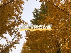 -月坛公园
