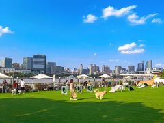 -上海山野camping·户外天幕烧烤·团建拓展营地