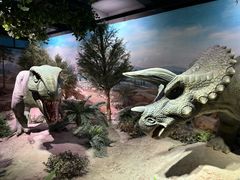 -国家自然博物馆