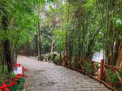 -崇阳三特浪口温泉