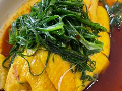 -熠盛粤味·顺德桑拿鸡(永康路店)