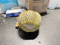 -SS2 榴梿鲜生