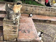 -乌达雅堡