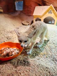 -酷嗒动物文化乐园(cutezoo西溪乐天城店)