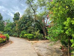 -中国科学院西双版纳热带植物园