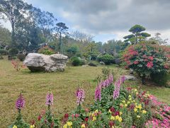-东莞植物园