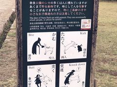 -奈良公园