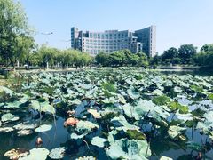 -杭州师范大学(下沙校区)