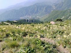 -白草畔自然风景区