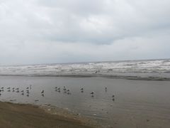 -大鹿岛
