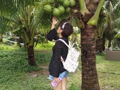 -芽庄珍珠岛游乐园