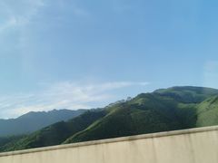 -明记海鲜美食老字号(明记总店)