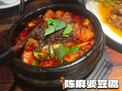 -陈麻婆豆腐(旗舰店)