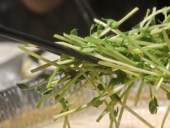 -捞王猪肚鸡火锅(财富中心店)