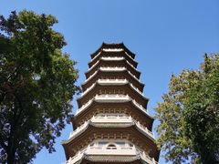 -灵谷景区