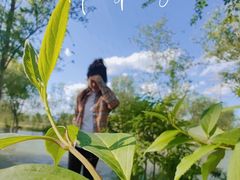 -永定河休闲森林公园