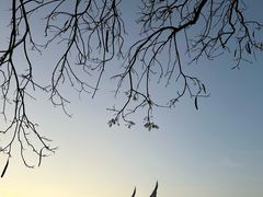 -集美鳌园景区