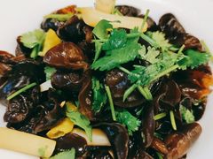 藕尖木耳-东方饺子王(新奥购物中心店)