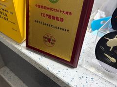 -半岛宠物医院24小时(白果林店)