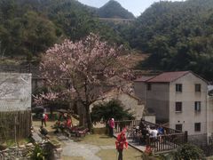 -东白山