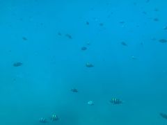 -亚龙湾海底世界