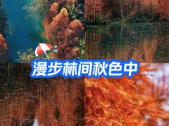 -桤木河湿地公园