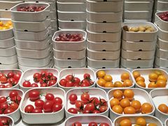 -水之梦(黄浦店)