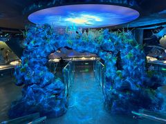 -陕西自然博物馆