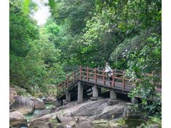 -广州白江湖森林公园