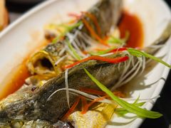 -前海沿·青岛菜(大拇指广场石老人店)