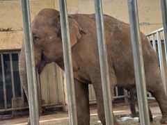 -石家庄市动物园