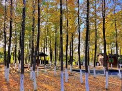 -艾溪湖湿地公园