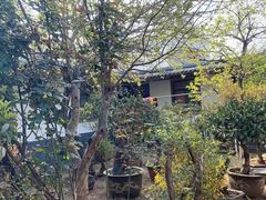 -洪沟崖张记炒鸡店(聚才路店)