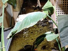 -邈墨茶馆(凤起路店)