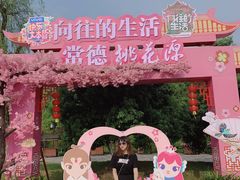 -常德桃花源景区