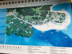 -北海金海湾红树林生态旅游区