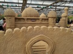 -南宫五洲植物乐园