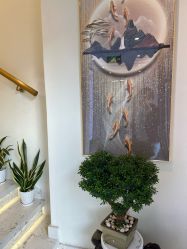 -海涛医疗美容·面部抗衰·注射美鼻