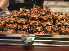 -新发展亚太JW万豪酒店·福苑咖啡厅
