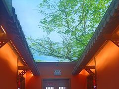 -凤霞海鲜大排档·天津菜(抗震路店)